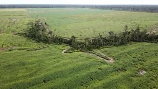 Fazenda/Sítio à venda, 22100000m² no Quatro Bocas, Tomé-Açu