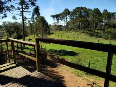 Fazenda/Sítio com 2 Quartos à venda, 126m² no , Campo Alegre