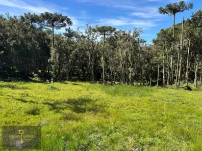 Lote/Terreno à venda, 20000m² no , Urubici