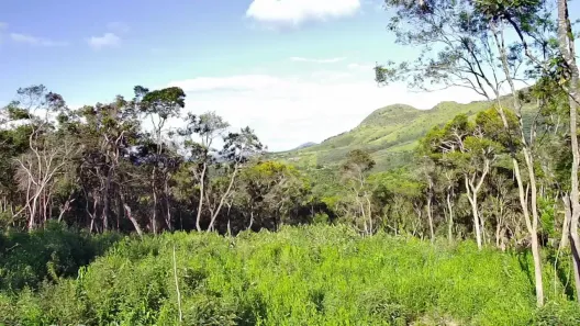 Lote/Terreno à venda, 1000m² no Estacao de Moreiras, Mairinque