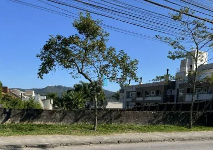 Lote/Terreno à venda, 488m² no Córrego Grande, Florianópolis