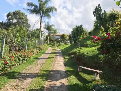 Fazenda/Sítio com 5 Quartos à venda, 306m² no Monterrey, Louveira