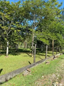 Lote/Terreno à venda, 3000m² no Barra do Una, São Sebastião