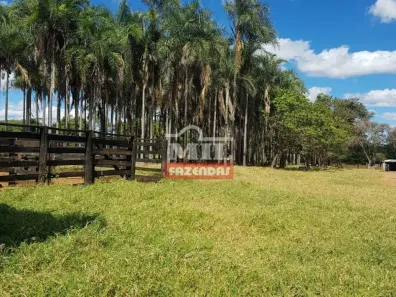Fazenda/Sítio à venda, 500m² no , Água Fria de Goiás