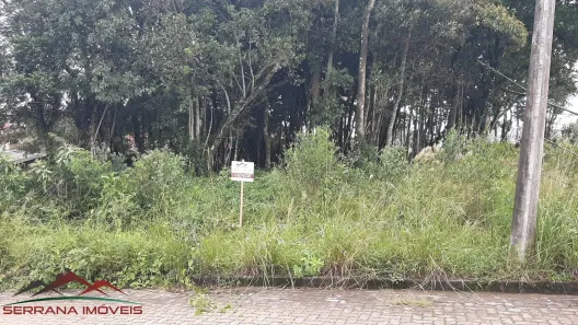 Lote/Terreno à venda, 518m² no Nova Petrópolis, Nova Petrópolis