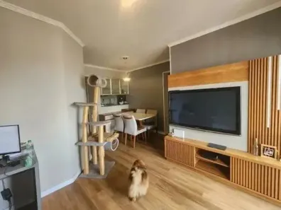 Apartamento com 3 Quartos à venda, 70m² no Jardim Bonfiglioli, São Paulo