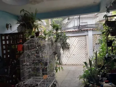 Sobrado com 3 Quartos à venda, 120m² no Vila Isolina Mazzei, São Paulo