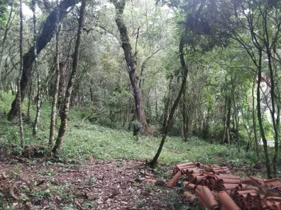 Lote/Terreno à venda, 75m² no , Campos do Jordão