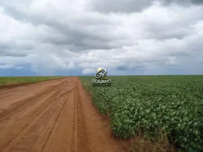 Fazenda/Sítio com 3 Quartos à venda, 12454m² no , Primavera do Leste