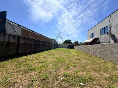 Lote/Terreno para alugar, 494m² no Parque da Figueira, Paulínia