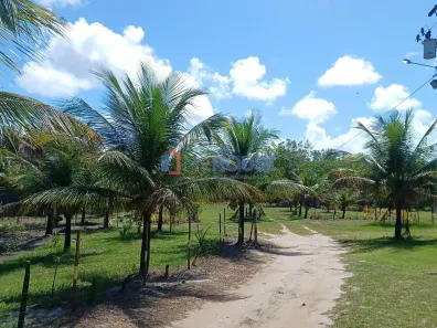 Fazenda/Sítio com 3 Quartos à venda, 250m² no , Una
