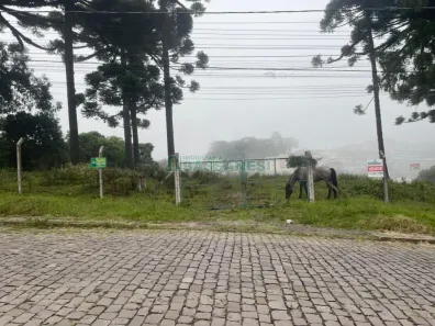 Lote/Terreno à venda, 5526m² no Esplanada, Caxias do Sul