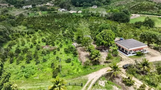 Fazenda/Sítio com 2 Quartos à venda, 25940m² no Posse dos Coutinhos, Tanguá