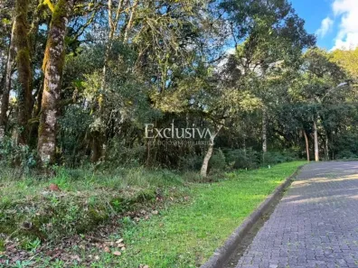 Lote/Terreno à venda, 745m² no Caracol, Canela