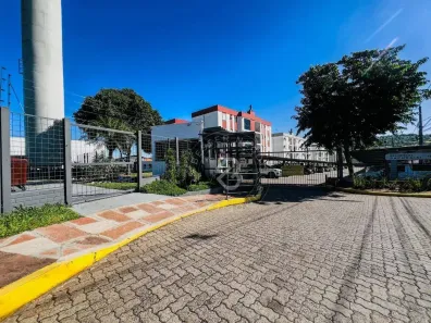 Apartamento com 2 Quartos à venda, 58m² no Camboim, Sapucaia do Sul