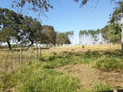 Fazenda/Sítio com 2 Quartos à venda, 10m² no Vila Belo Horizonte, Campo Grande