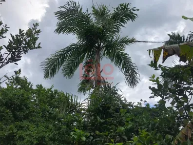 Fazenda/Sítio com 3 Quartos à venda, 149m² no JD REFUGIO, Ivatuba