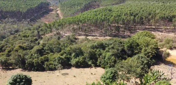 Lote/Terreno à venda, 20000m² no , Cordisburgo