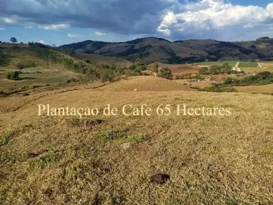 Fazenda/Sítio com 5 Quartos à venda, 650000m² no , Oliveira