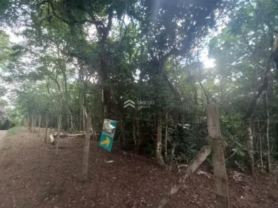 Lote/Terreno à venda, 13500m² no Água Espraiada (Caucaia do Alto), Cotia