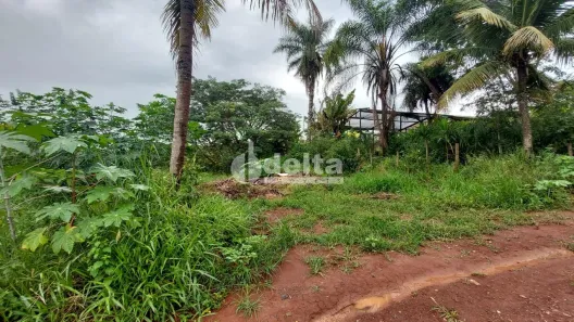 Lote/Terreno para alugar, 1353m² no Shopping Park, Uberlândia