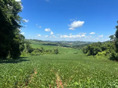 Fazenda/Sítio com 1 Quarto à venda, 1m² no Rio do Salto, Cascavel