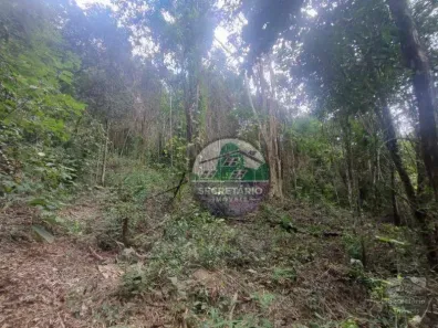 Lote/Terreno à venda, 20000m² no Pedro do Rio, Petrópolis