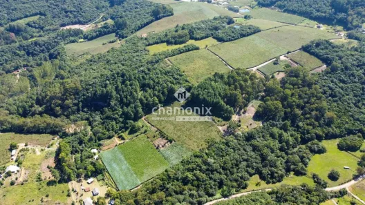 Imóvel Comercial à venda, 88000m² no Flores da Cunha, Flores da Cunha