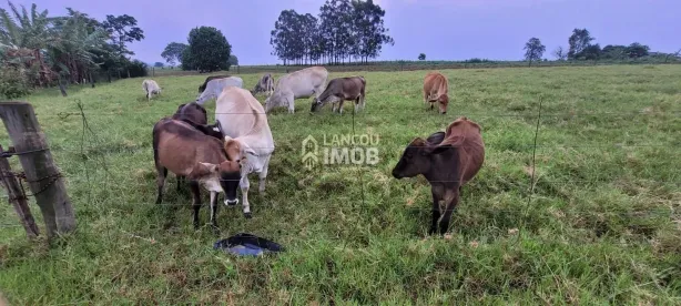 Fazenda/Sítio com 4 Quartos à venda, 10m² no , Pérola