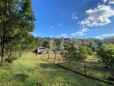 Fazenda/Sítio com 4 Quartos à venda, 150m² no Macaco Branco, Portão