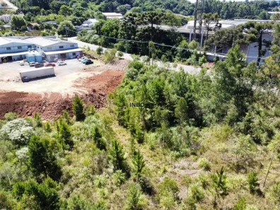 Lote/Terreno à venda, 2400m² no Vila Nova, Bento Gonçalves