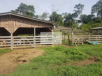 Fazenda/Sítio com 3 Quartos à venda, 59800m² no Centro, Campo Alegre
