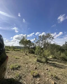 Lote/Terreno à venda, 1000m² no , Mairinque