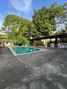 Fazenda/Sítio com 3 Quartos à venda, 20000m² no Praia do Francês, Marechal Deodoro