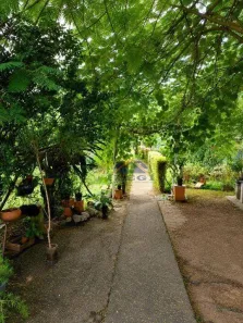 Fazenda/Sítio com 2 Quartos à venda, 222m² no Portal do Medeiros, Jundiaí