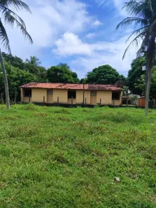 Fazenda/Sítio com 3 Quartos à venda, 120000m² no , São José de Mipibu