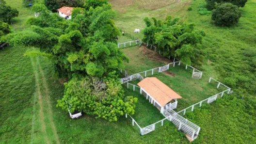 Fazenda/Sítio com 3 Quartos à venda, 87m² no , Varjão