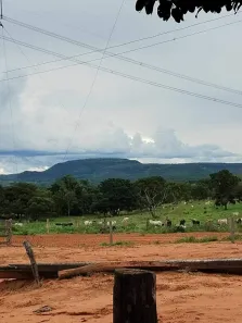 Fazenda/Sítio à venda, 1157m² no Centro, Alto Araguaia