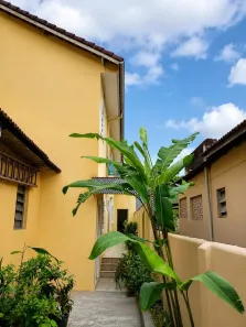Apartamento com 1 Quarto para alugar, 27m² no Morro Nova Cintra, Santos