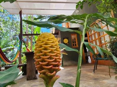 Fazenda/Sítio com 2 Quartos à venda, 80m² no , Chapada dos Guimarães
