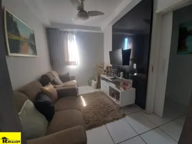Apartamento com 2 Quartos à venda, 60m² no Jardim Bela Vista, São José do Rio Preto