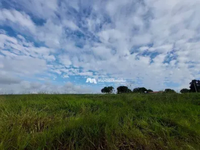 Fazenda/Sítio com 5 Quartos à venda, 400m² no Área Rural de Olímpia, Olímpia