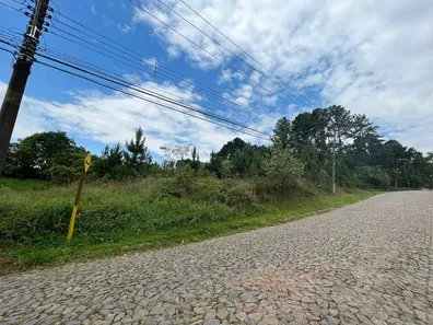 Lote/Terreno à venda, 4973m² no Paisagem Renoir, Cotia