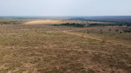 Fazenda/Sítio à venda, 1600m² no , Santo Antônio do Leste