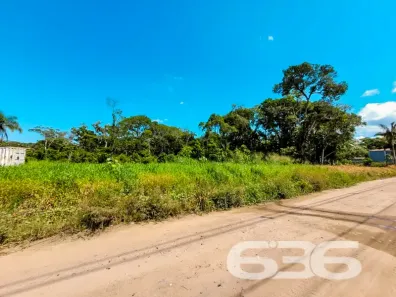 Lote/Terreno à venda, 1250m² no Praia do Ervino, São Francisco do Sul