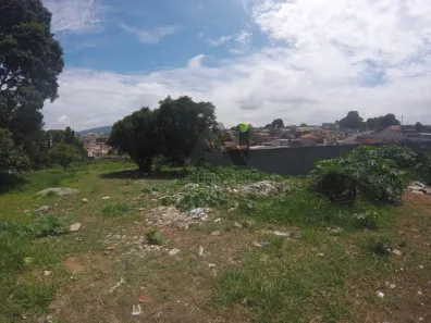Lote/Terreno à venda, 6000m² no Vila Cintra, Mogi das Cruzes