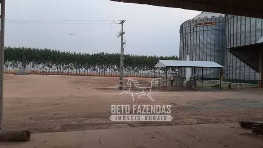 Fazenda/Sítio à venda, 499370000m² no , Nova Ubiratã