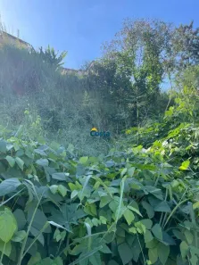 à venda, 360m² no Jardim Casa Branca, Betim