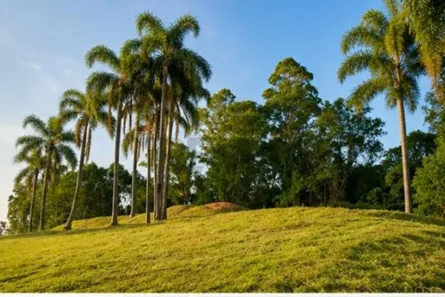 Lote/Terreno à venda, 1162m² no Vale dos Pinheiros, Garibaldi