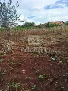 Lote/Terreno com 1 Quarto à venda, 11m² no Dona Zulmira, Uberlândia